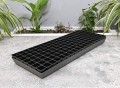 rozsadnik-horti-126-SC-2.JPG