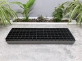 rozsadnik-horti-126-SC-3.JPG