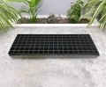 rozsadnik-horti-126-SC-4.JPG