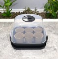 miniszklarenka-horti-T6-3.JPG