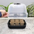 miniszklarenka-horti-T6-5.JPG