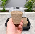 miniszklarenka-horti-T6-6.JPG