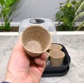 miniszklarenka-horti-T6-7.JPG