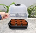 miniszklarenka-horti-6-4.JPG