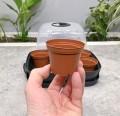 miniszklarenka-horti-6-6.JPG