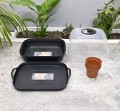 miniszklarenka-horti-6-9.JPG