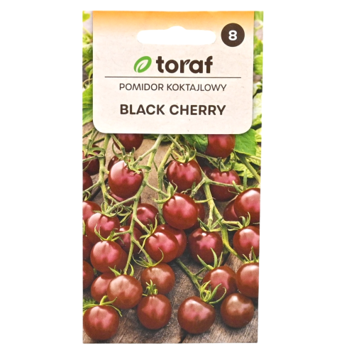 pomidor-black-cherry-toraf-nowy-1.png