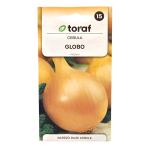 Cebula późna sałatkowa duża GLOBO nasiona 2g