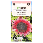 Słonecznik ozdobny CHERRY QUEEN - bordowy - nasiona Toraf 2g