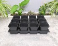 rozsadnik-horti-12:9:KW-SR0.5A-4.JPG