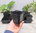 rozsadnik-horti-12:9:KW-SR0.5A-5.JPG