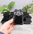 rozsadnik-horti-12:9:KW-SR0.5A-7.JPG