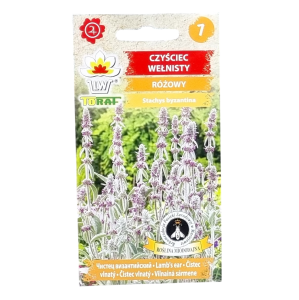 CZYŚCIEC WEŁNISTY różowy nasiona kwiatów 0,2g