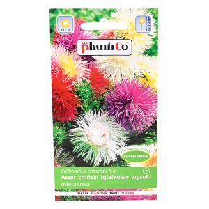 ASTER chiński IGIEŁKOWY MIX nasiona kwiatów 1g