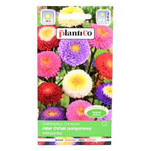ASTER chiński POMPONOWY MIX nasiona kwiatów 1g