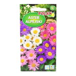 ASTER ALPEJSKI MIX kolorów nasiona kwiatów 0,3g