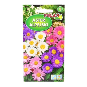 ASTER ALPEJSKI MIX kolorów nasiona kwiatów 0,3g