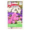 aster-chiński-karłowy-mix-1.png