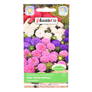 Aster chiński peoniowy KARŁOWY MIX 1g - nasiona astrów PlantiCo