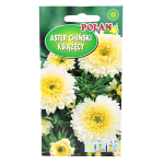 Aster chiński KSIĄŻĘCY BIAŁY - nasiona kwiatów Polan 1g