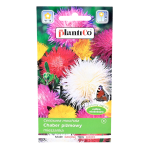 Chaber piżmowy mix kolorów - nasiona kwiatów ozdobnych PlantiCo 1g