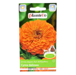 CYNIA wytworna daliowa POMARAŃCZOWA nasiona 1g