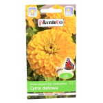 CYNIA wytworna daliowa ŻÓŁTA nasiona kwiatów 1g