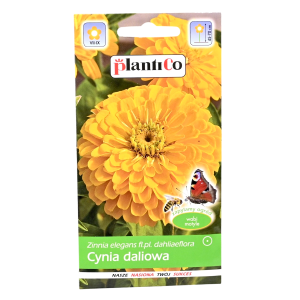 CYNIA wytworna daliowa ŻÓŁTA nasiona kwiatów 1g