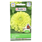 CYNIA wytworna daliowa ZIELONA ENVY nasiona 1g