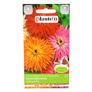 CYNIA wytworna KAKTUSOWA mix kolorów nasiona 1g