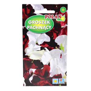 GROSZEK pachnący NIGHT AND DAY nasiona 2g