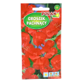 groszek-pach-czerwony-1.png