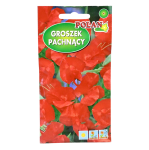 Groszek pachnący czerwony pnący - Lathyrus odoratus - nasiona Polan 3g