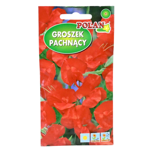 Groszek pachnący czerwony pnący - Lathyrus odoratus - nasiona Polan 3g