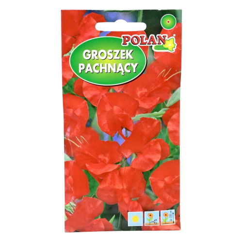 groszek-pach-czerwony-1.png