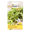 szałwia-lekarska-plantico-1.png