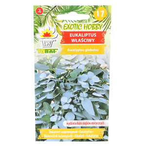 Eukaliptus właściwy - nasiona roślin egzotycznych - Toraf 10 nasion