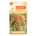 jagody-goji-1.png