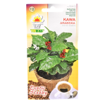 KAWA ARABSKA Coffea arabica - 6 nasion kawy arabskiej marki Toraf