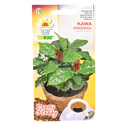 kawa-arabska-st-1.png