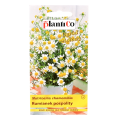rumianek-lekarski-plantico-1.png