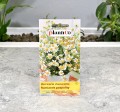 rumianek-lekarski-plantico-2.JPG