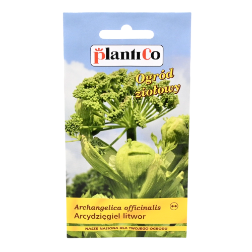 arcydzięgiel-plantico-1.png
