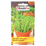 HYZOP LEKARSKI nasiona ziół i przypraw 0,2g