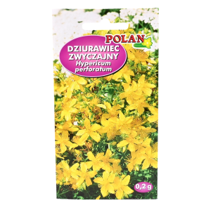 DZIURAWIEC ZWYCZAJNY nasiona ziół Polan 0,2g