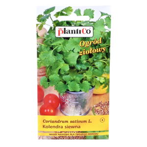 KOLENDRA SIEWNA nasiona ziół i przypraw