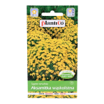 Aksamitka wąskolistna LULU żółta karłowa - nasiona PlantiCo 0,5g