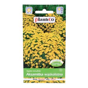 Aksamitka wąskolistna LULU żółta karłowa - nasiona PlantiCo 0,5g