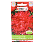 ASTER PEONIOWY wysoki CZERWONY nasiona kwiatów 1g
