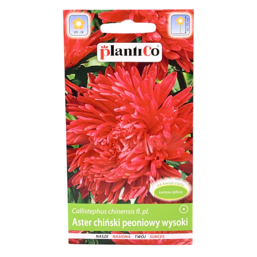 aster-peoniowy-wysoki-czerwony-1.png